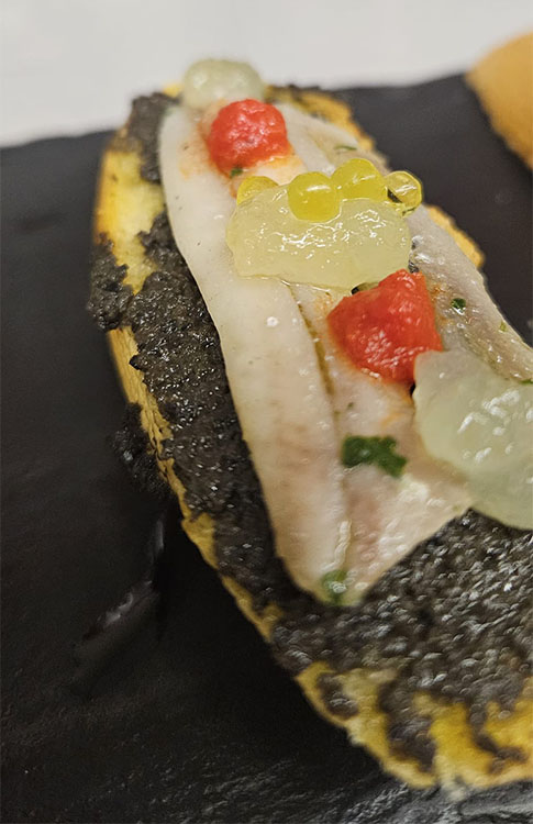 WhatsApp Image 2026 03 16 At 13.04.05